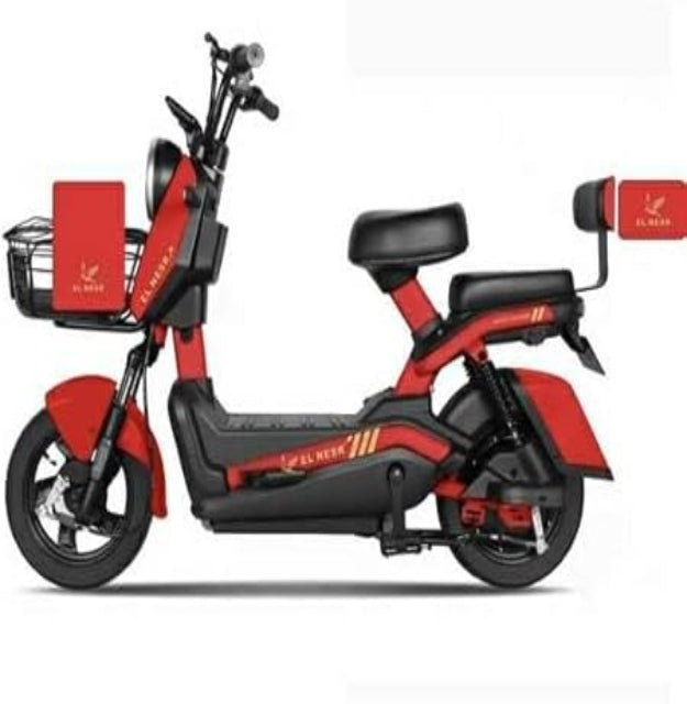 Electric Bike