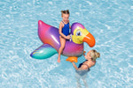 55.5" x 44.5"/1.41m x 1.13m Dandy Dodo Ride-On
