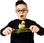 Heroes of Goo Jit Zu Jurassic World - Dilophosaurus