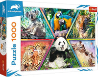 Trefl - Animal Kingdom - 1000 Elements, Animal Puzzles