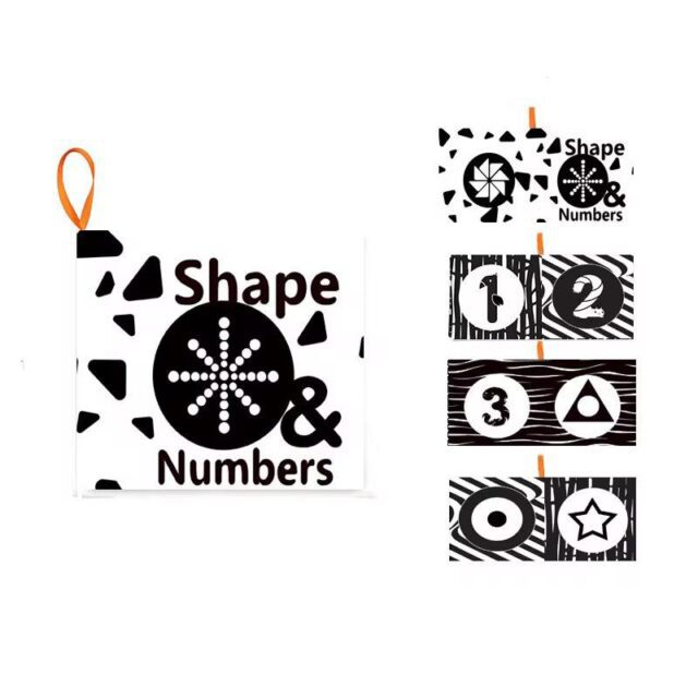 shapes and numbers