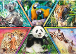 Trefl - Animal Kingdom - 1000 Elements, Animal Puzzles