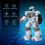 Intelligent Gesture Robot