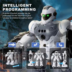 Intelligent Gesture Robot