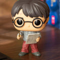 Harry Potter Vinyl Figure
