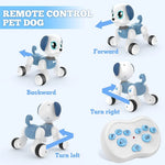 RC Robot Dog