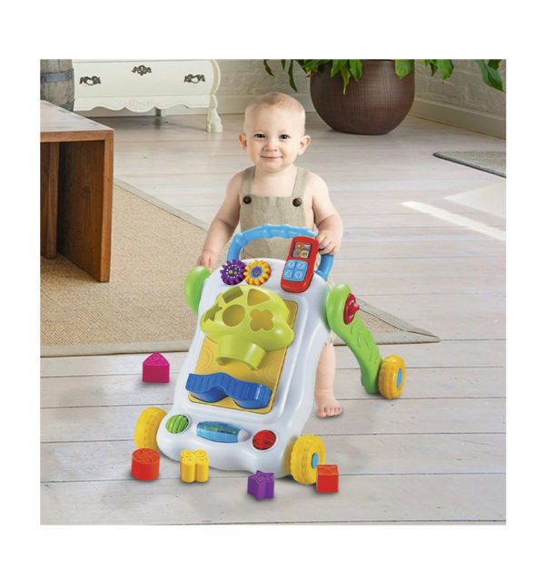 Activity Shape Sorter Walker