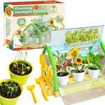 Planting Sunlight Room