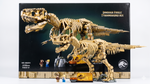 Tyrannosaurus Rex Fossil Set