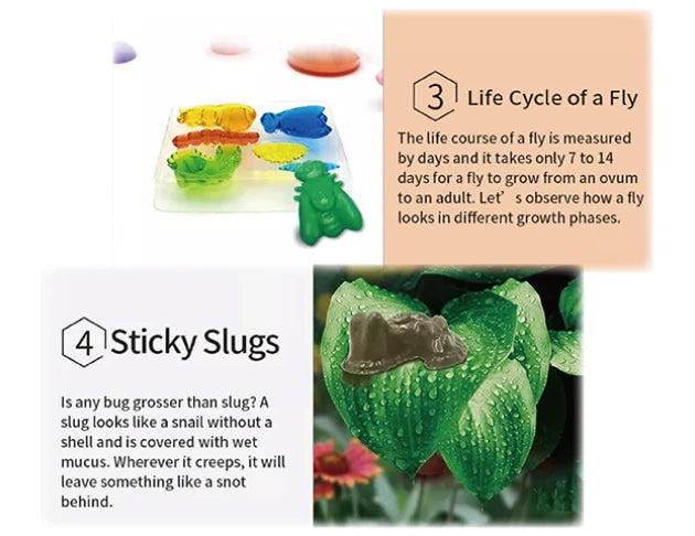 Snotty Unicorn Science Kit