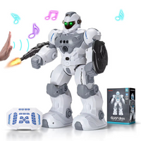Intelligent Gesture Robot