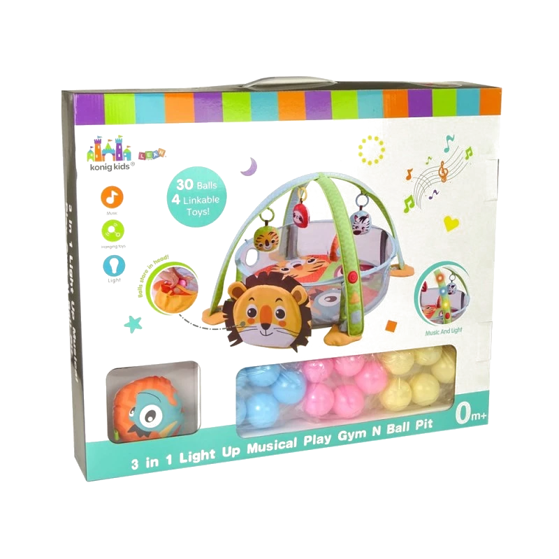 Light Up Musical Play Gym