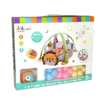 Light Up Musical Play Gym
