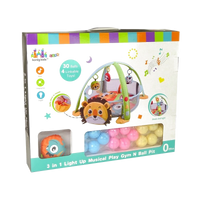 Light Up Musical Play Gym