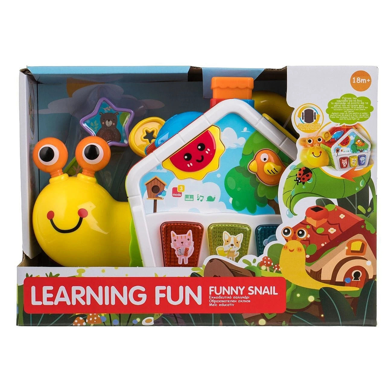 Funny Snail Learning Toy