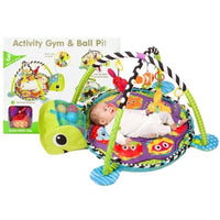 Activity Gym & Ball Pit