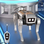 AE OT Robot Dog