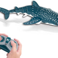 RC Shark Toy