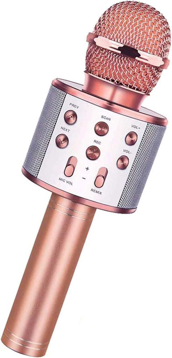 Kids Karaoke Microphone