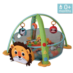 Light Up Musical Play Gym