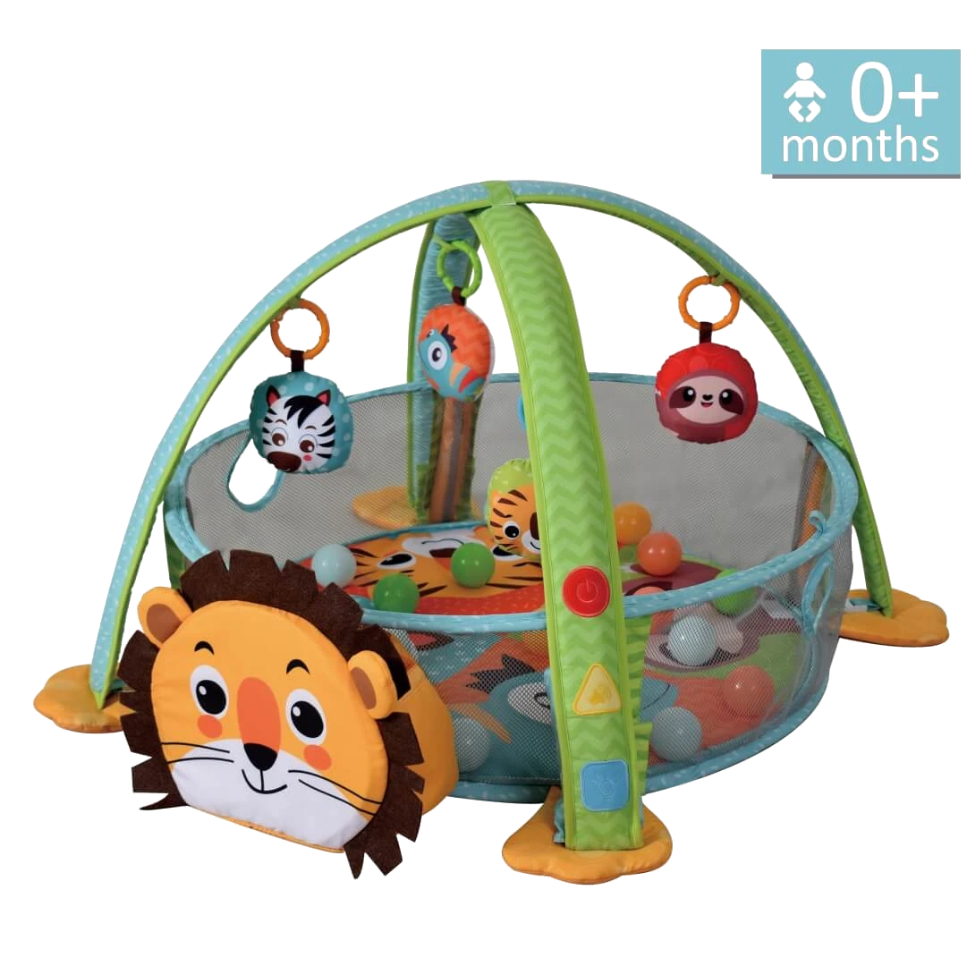 Light Up Musical Play Gym