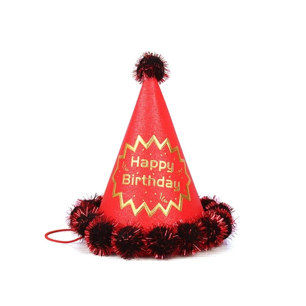 Birthday Party Hat