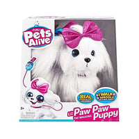 Lil Paw Paw Puppy