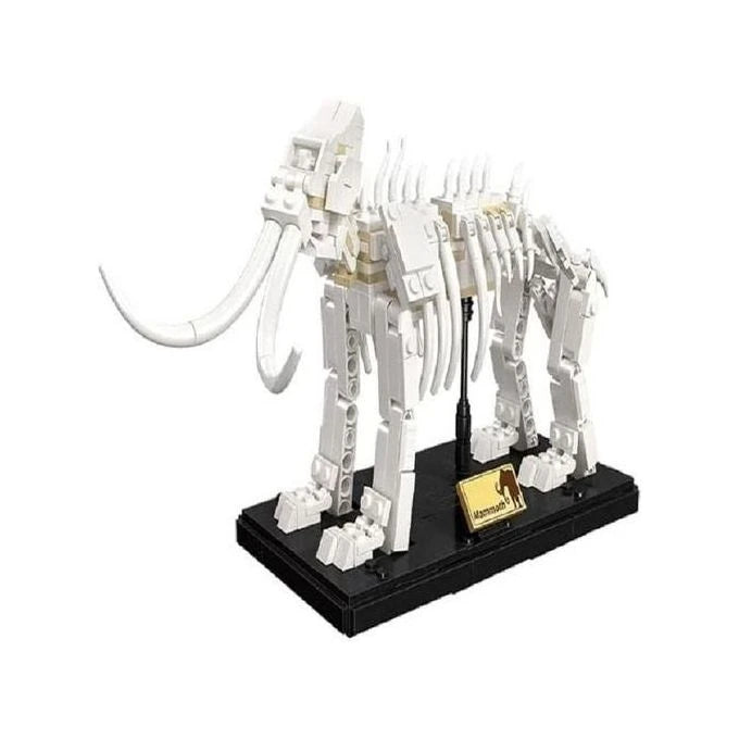 Mammoth Skeleton Model