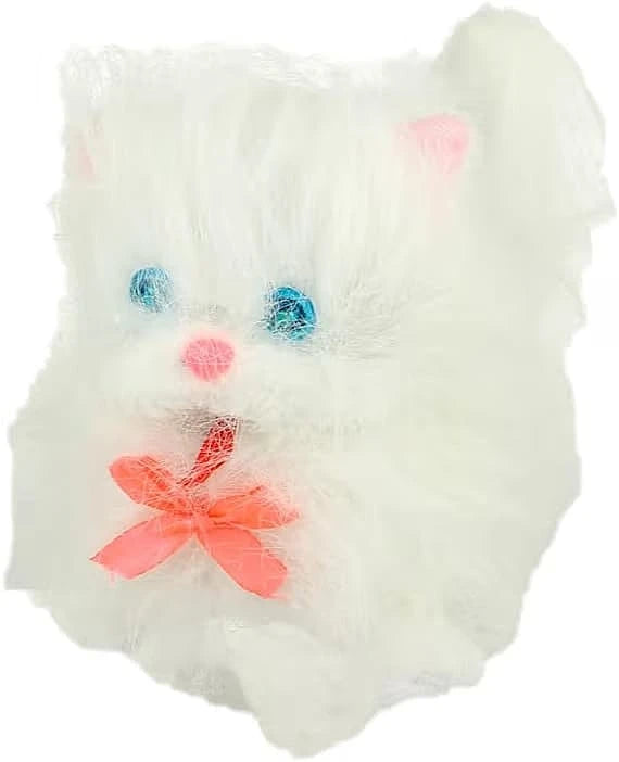 Fluffy White Kitty
