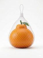 Orange Toy with Net