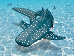 RC Shark Toy