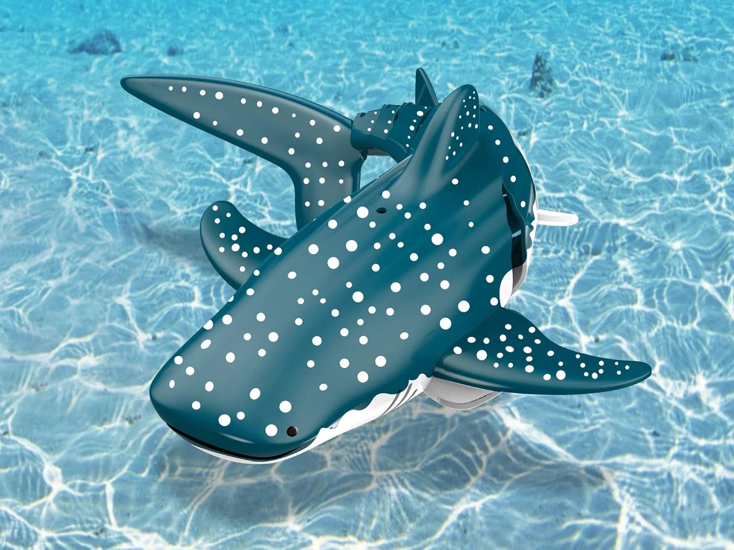 RC Shark Toy