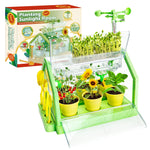 Planting Sunlight Room