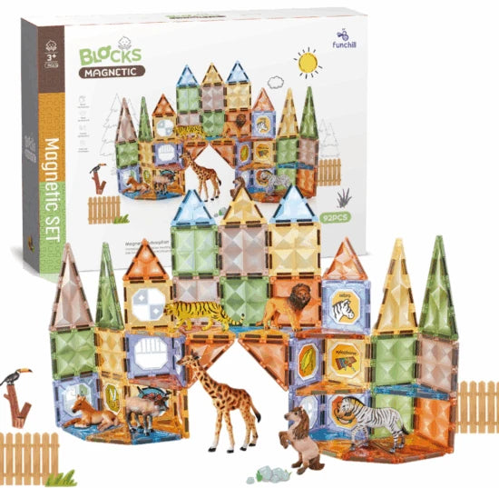 Magnetic Blocks Set