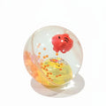 Colorful Fish Bubble Toys