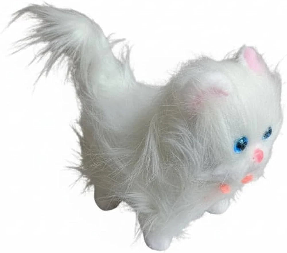 Fluffy White Kitty