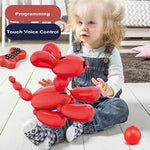 Intelligent Programming Balloon Dog