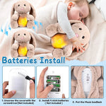 Musical Bunny Plush Toy