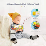 Insect World Soft Book