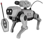 AE OT Robot Dog