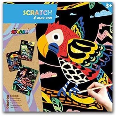 51paobtr+pS._AC_SY780_ مجموعة صور خدش الطائر سحري، ألوان مختلطة